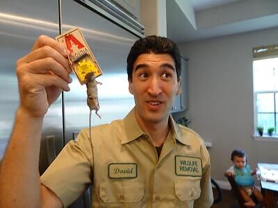 Los Angeles pest control